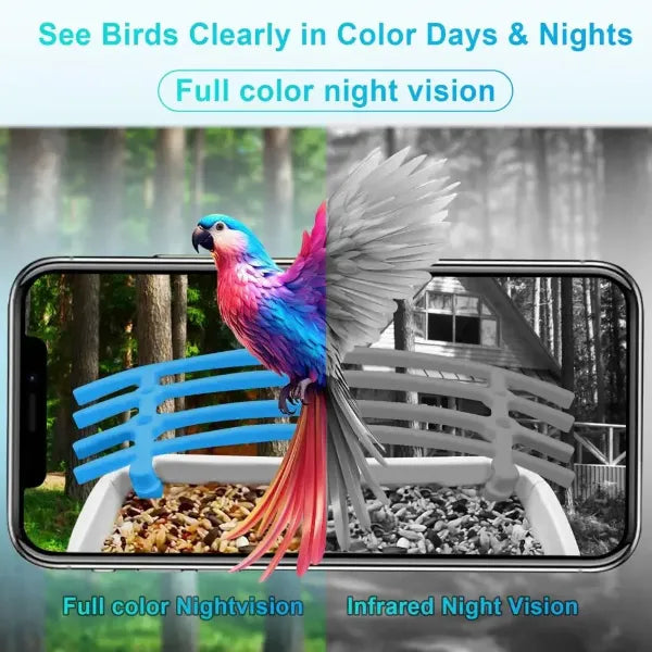 GonuziCam Bird Feeder Cameras US14