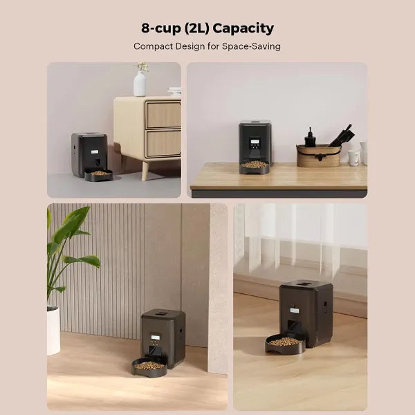 AutoPurr Automatic Cat Feeders US15