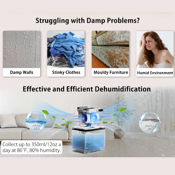 HumidAway Dehumidifiers for Home US15
