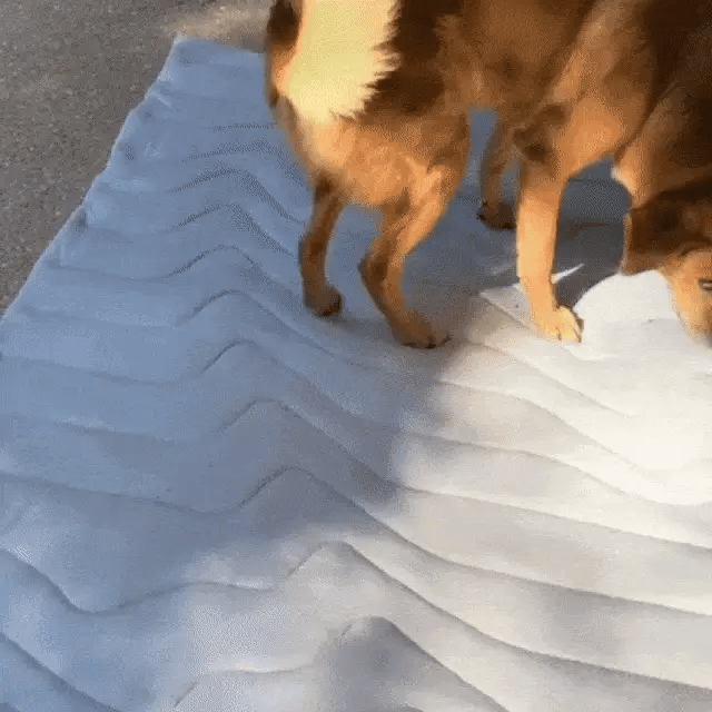 S2 DeliG Dog Cooling Mats
