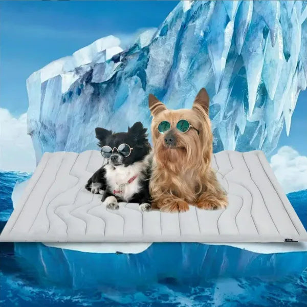 S2 DeliG Dog Cooling Mats