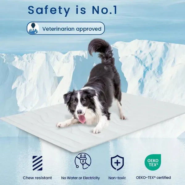 S2 DeliG Dog Cooling Mats