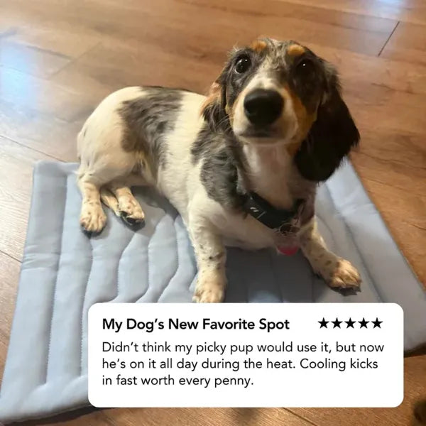 S2 DeliG Dog Cooling Mats