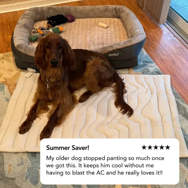 S2 DeliG Dog Cooling Mats