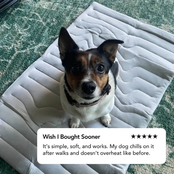 S2 DeliG Dog Cooling Mats