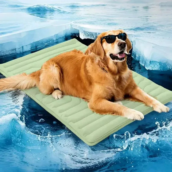 S2 DeliG Dog Cooling Mats