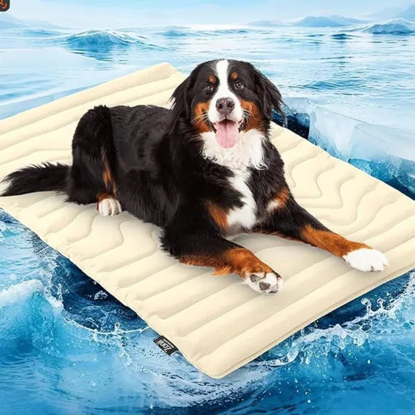 S2 DeliG Dog Cooling Mats