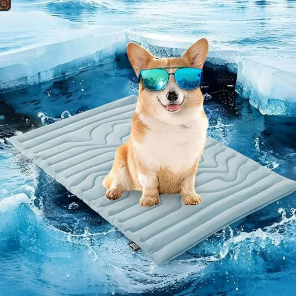 S2 DeliG Dog Cooling Mats