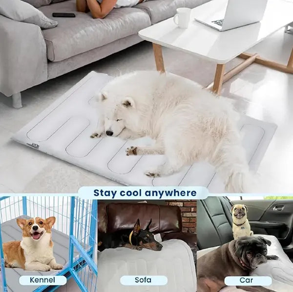 S2 DeliG Dog Cooling Mats