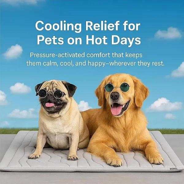 S2 DeliG Dog Cooling Mats