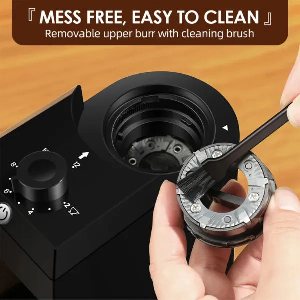 BeanCraft Electric Coffee Grinders US15