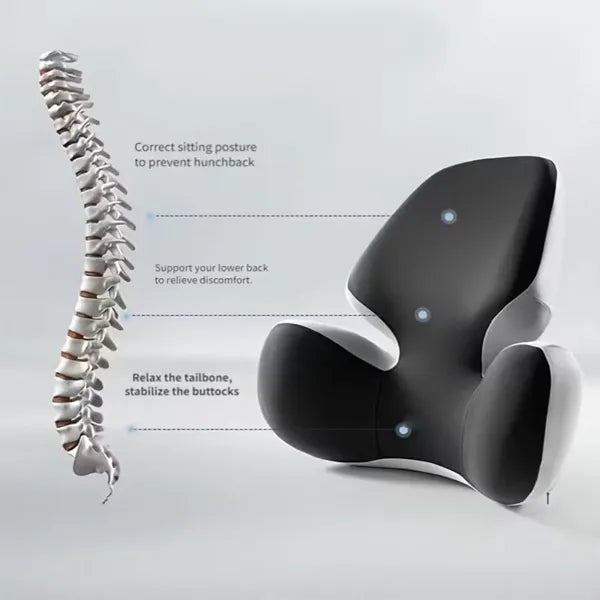 Sitzora Ergonomic Seat Cushions US13