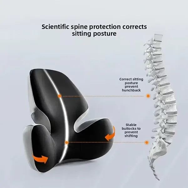 Sitzora Ergonomic Seat Cushions US13