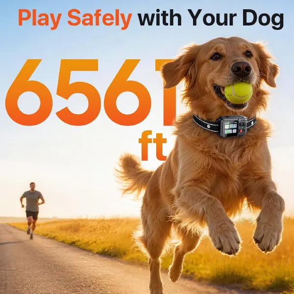 DyKolar GPS	Dog Fence Collars US13