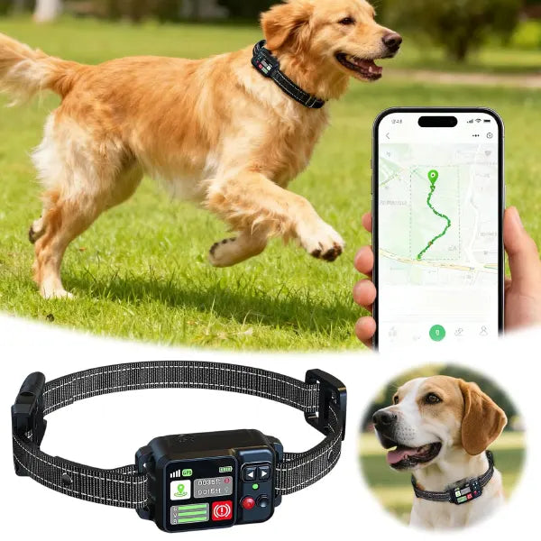 DyKolar GPS	Dog Fence Collars US13