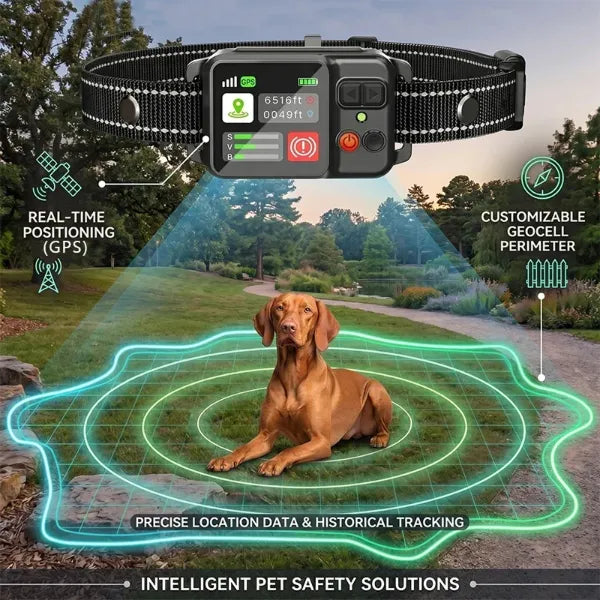 DyKolar GPS	Dog Fence Collars US13