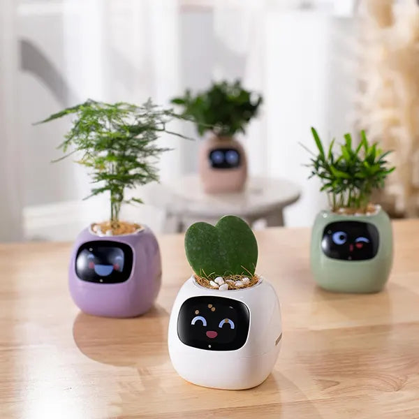 SmartSprout Smart Plant Pot US46