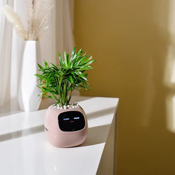 SmartSprout Smart Plant Pot US46