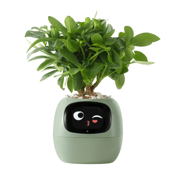 SmartSprout Smart Plant Pot US46