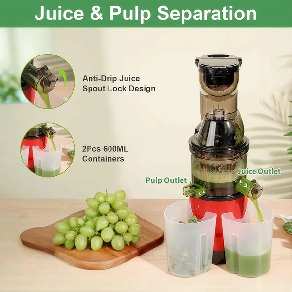 VitaJuice Masticating Juicer US46