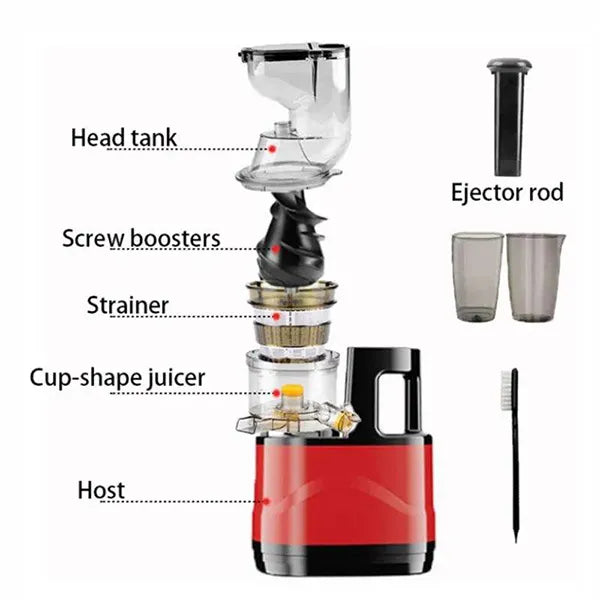 VitaJuice Masticating Juicer US46