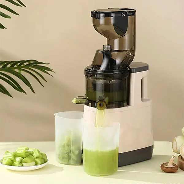 VitaJuice Masticating Juicer US46