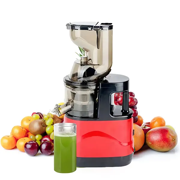 VitaJuice Masticating Juicer US46