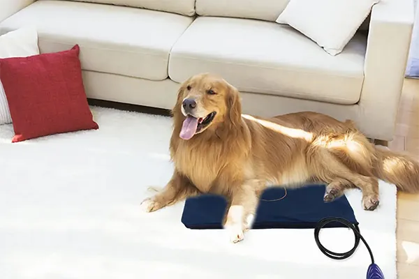 GonnyPad Heated Pet Pads US13