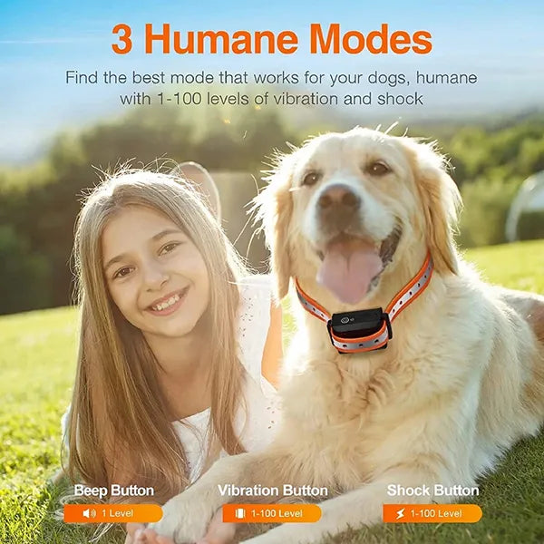 K9Mentor Dog Training Collars US13