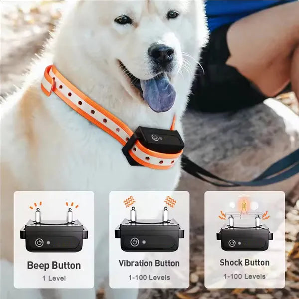 K9Mentor Dog Training Collars US13