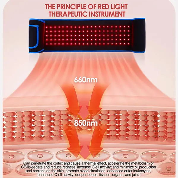 TheraWrap Red Light Therapy Belts US46