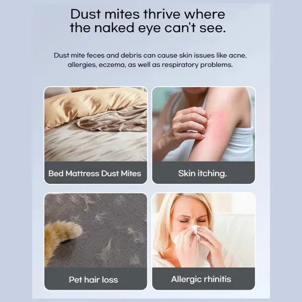 Dustiva Mattress Vacuums