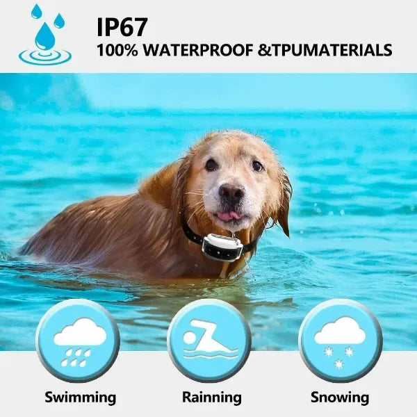 PawGuard Wireless Dog Fences US15